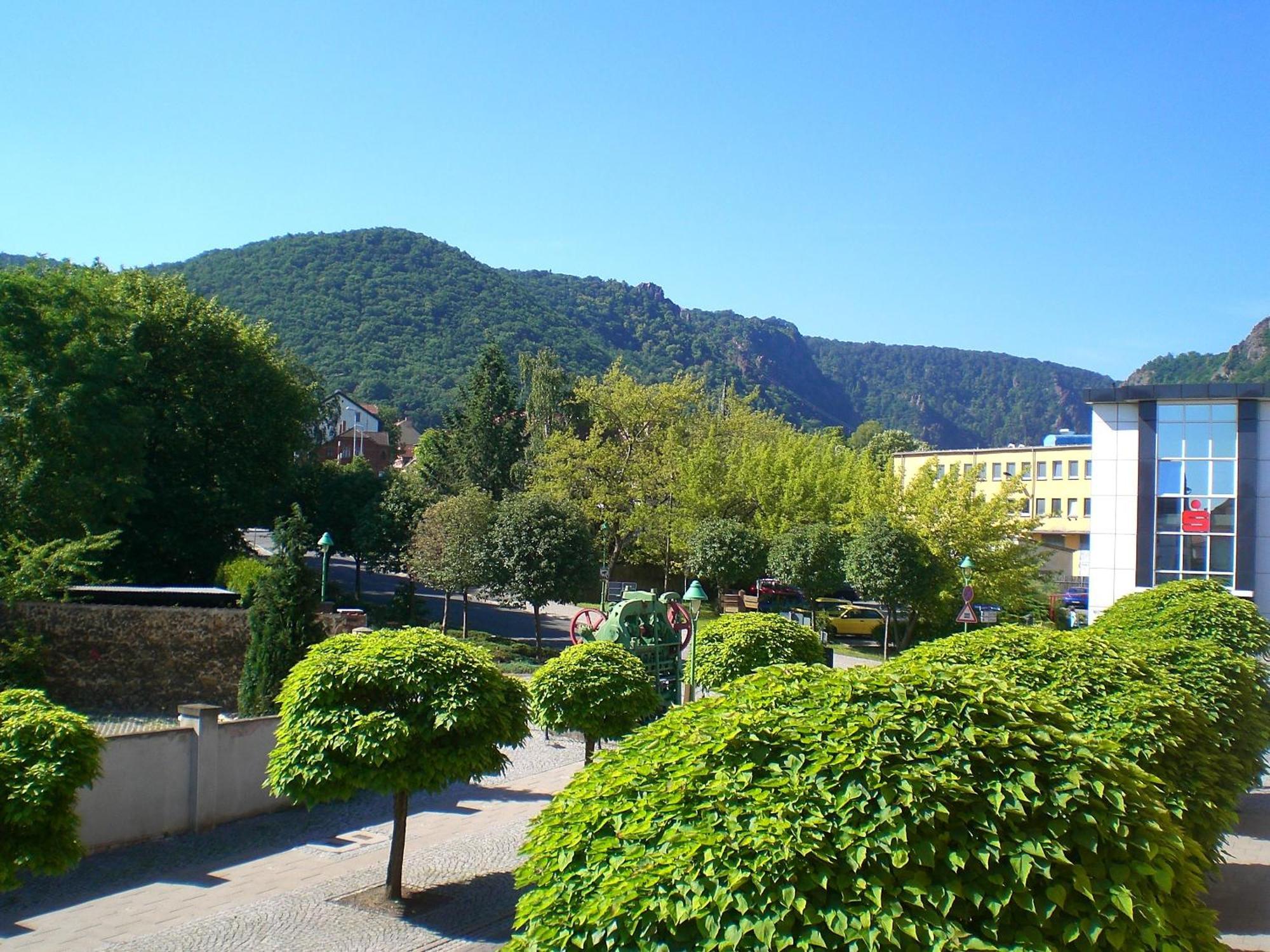 Apartments & Ferienhaus Senftner Thale Buitenkant foto